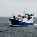 Sektoru ribarstva na raspolaganju 20 milijuna kuna