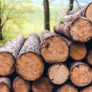 Poticajne mjere za razvoj drvno-prerađivačke industrije 