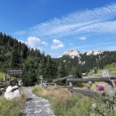 NP Sjeverni Velebit zapošljava botaničara