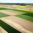 Ne postoji odluka EK o oduzimanju 10 posto potpora za izravna plaćanja