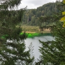Na Plitvičkim jezerima ubacili boju