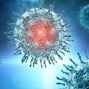 71 novoboljelo, 60 izliječeno