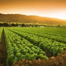 Putem financijskih instrumenata očuvano preko 2.000 radnih mjesta i nabavljeno 54.000 životinja