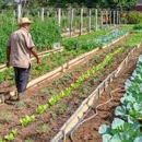 Produljen rok za potpore malima poljoiprivrednicima