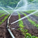 17 sustava navodnjavanja ukupno vrijednih 666 milijuna kuna