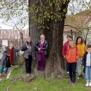 Zagonetka iza ćoška za profesore tjelesne kulture