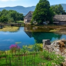Uživo dok ga ima, a onda samo na fotografijama