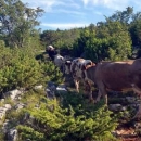 Bit će poticaja, bit će novčine!