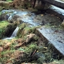 Tko li to obmanjuje Ličko-senjsku županiju?