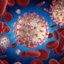 48 izliječenih, 45 oboljelih