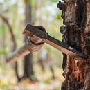 Dvojac osumnjičen za sječu i krađu drva