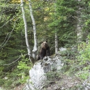Nagradni kviz danas završava
