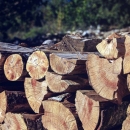 Potpore za ulaganja u šumarske tehnologije i preradu