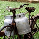 U e-savjetovanju Program razvoja sektora mljekarstva