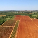 Objavljen Javni poziv za restrukturiranje poljoprivrednog zemljišta i komasaciju 2021. – 2026.