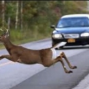 Održan sastanak s predstavnicima Hrvatskog lovačkog saveza