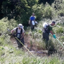 Izlov alohtonih vrsta riba na Plitvičkim jezerima 