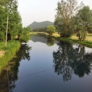 Ako laže koza, ne laže Ministarstvo!