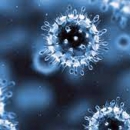 47 izliječenih, 32 oboljelih