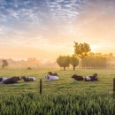 U saborsku proceduru upućena nova Strategija poljoprivrede te prijedlozi novih Zakona o poljoprivrednom zemljištu i o održivoj uporabi pesticida