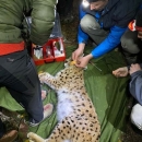 Odlična suradnja Parka prirode Velebit i LIFE Lynx projekta dobila je novu dimenziju