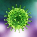 19 oboljelih, 13 izliječenih