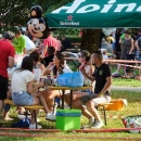 Najbolji kotlići, odnosno gulaši