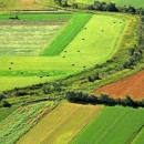 20 milijuna kuna za obnovu poljoprivrednog zemljišta i proizvodnog potencijala