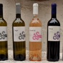 Vinska degustacija: Ventus Bura u senjskom hotelu Bura u gradu bure  