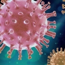 42 novooboljele osobe