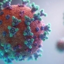 23 novooboljele, jedna preminula osoba od koronavirusa u LSŽ-i 