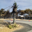 Aktivan požar na miniranom području 