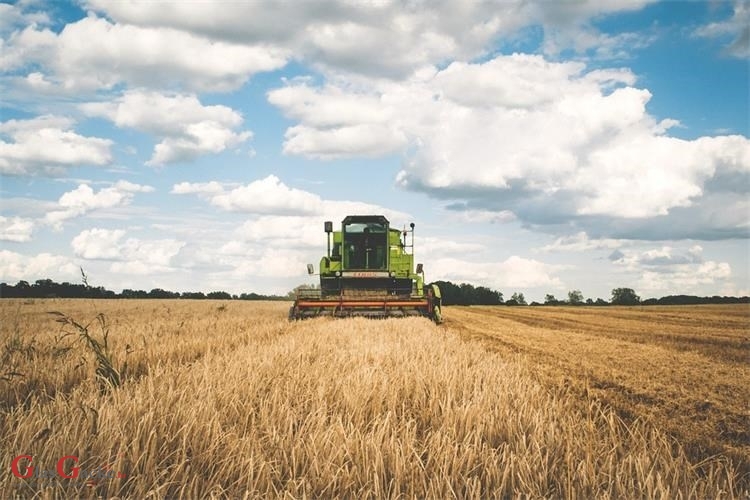 Ministrica Vučković na Agrifishu pozvala na rješavanje problema previsokih cijena stočne hrane